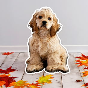 Custom Pet Shaped Pillow Custom Pet Shaped Pillow