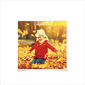 Photo Prints Photo Prints