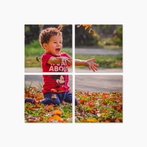 Split Photo Canvas