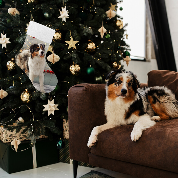 Unique Stocking Stuffer Ideas for Custom Christmas Stockings