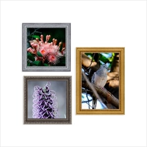 Photography Canvas Wall Art Photography Canvas Wall Art